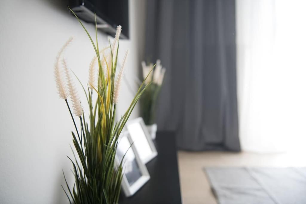 Markopoulosapartments Néa Moudaniá Eksteriør bilde